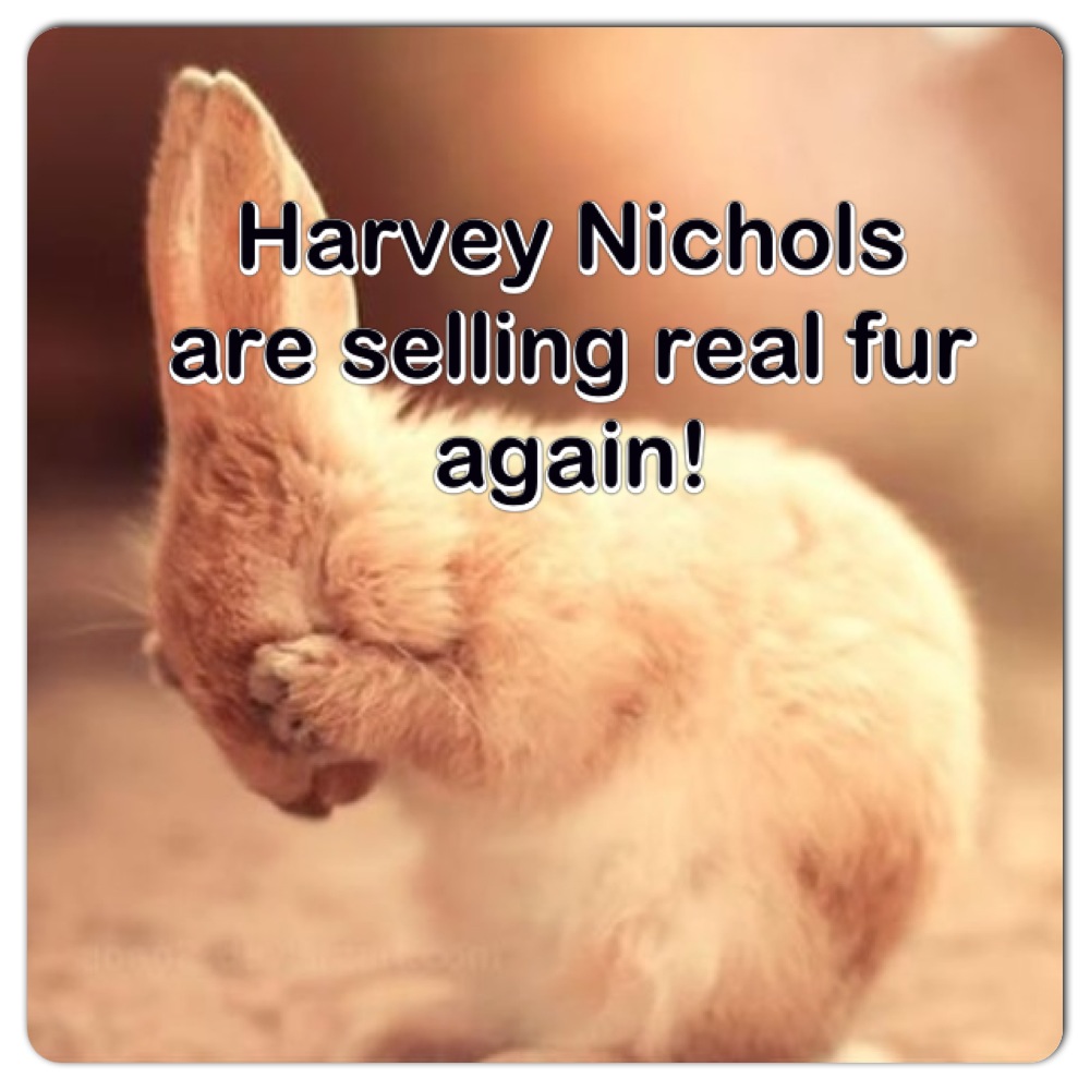 Harvey Nichols Are Still Selling Real&nbsp;Fur!