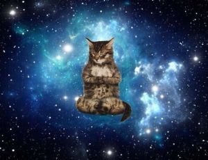 438834252a6ca6128725e9995279baad