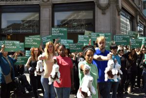 Benetton-Angora-Demo-1_mini