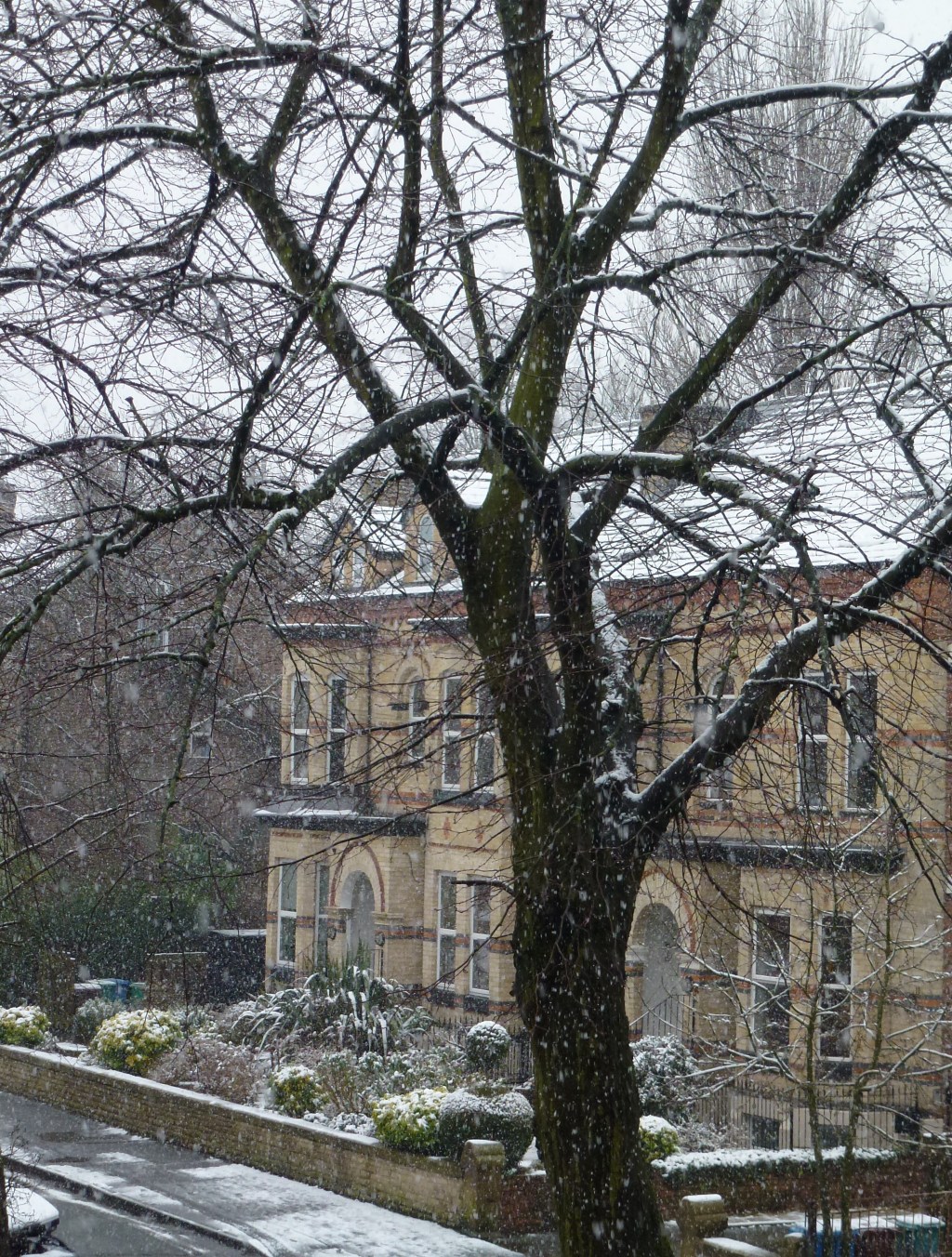 15 Reasons To Love&nbsp;Winter!