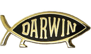 Screen Shot 2016-03-13 at 01.36.53