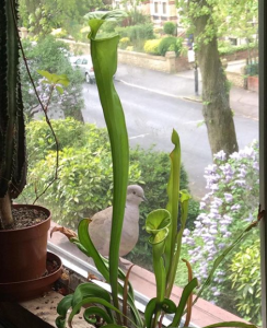 Screen Shot 2016-06-08 at 15.41.30