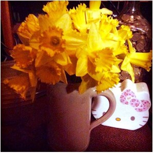 Screen Shot 2017-03-29 at 18.27.12