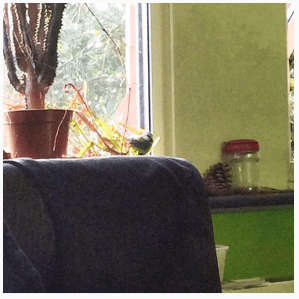 Screen Shot 2017-05-06 at 21.21.04