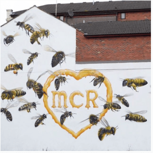 Screen Shot 2017-06-29 at 17.30.28