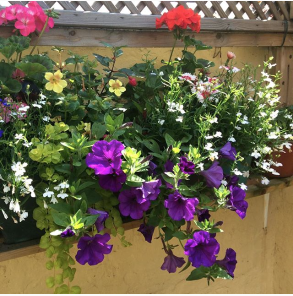 Screen Shot 2017-07-29 at 22.18.31