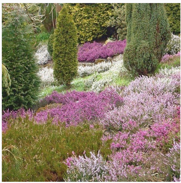 April Screen Shot 2017-12-28 at 19.40.14