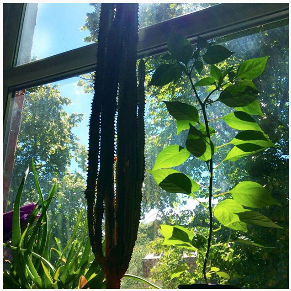 Screen Shot 2018-07-01 at 17.15.55