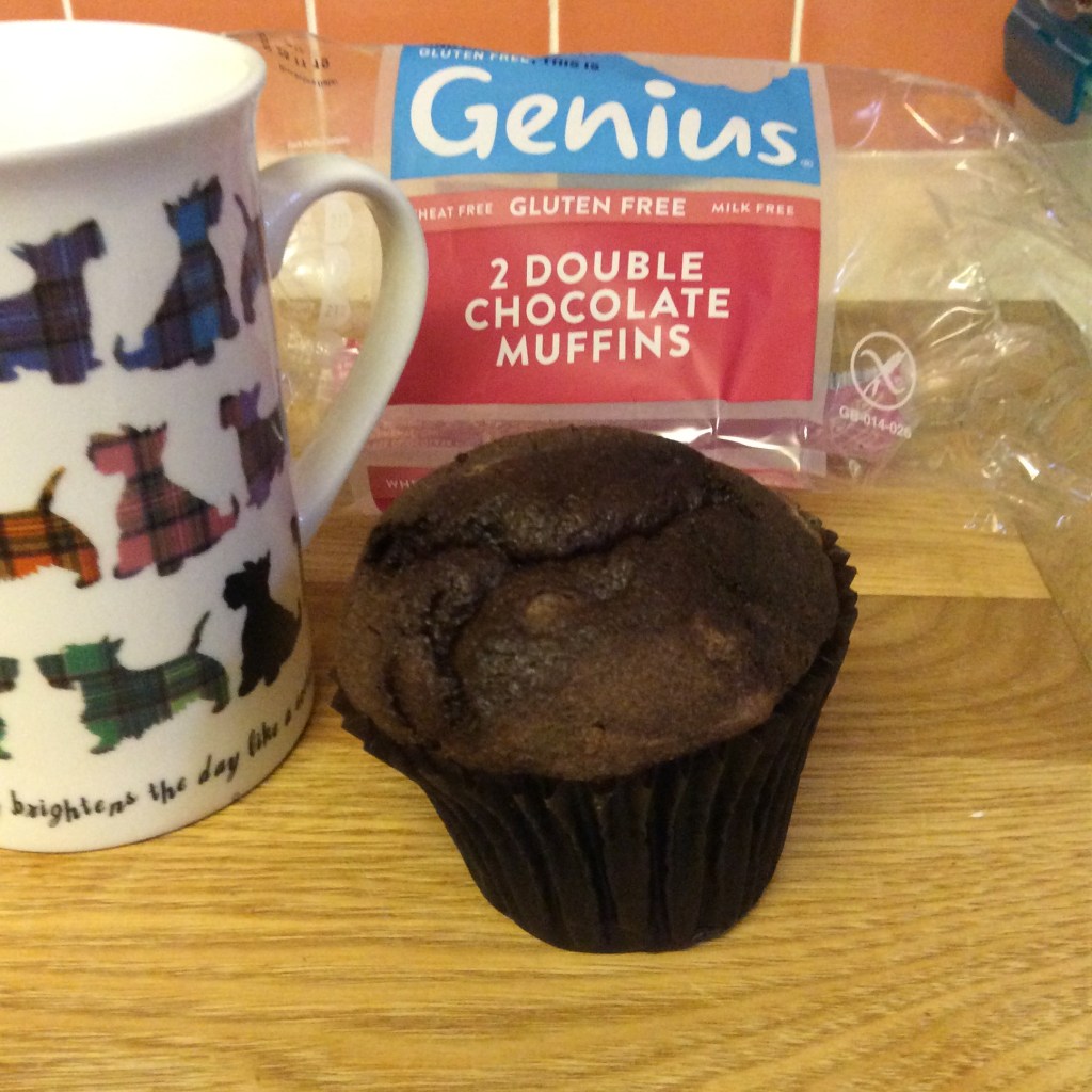 Genius Double Chocolate&nbsp;Muffins